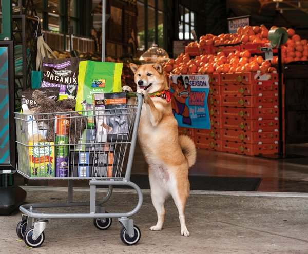 Pet_DogFoo.jpg